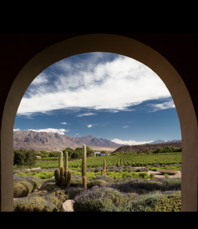 wo weeks food wine trip itinerary in argentina and chile