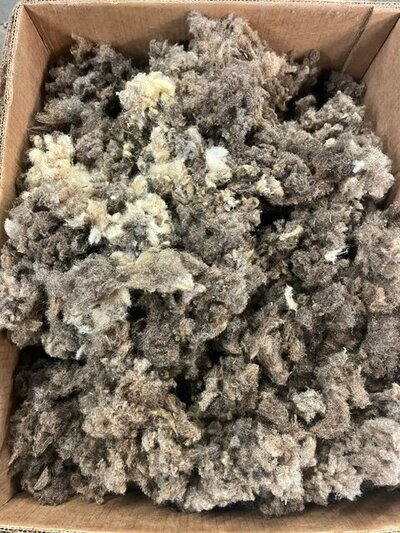 unprocessed wool