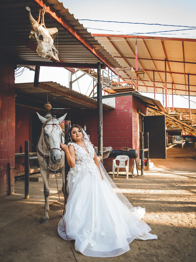 BODA_A&CH-341