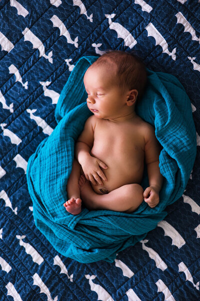 Newborn from St. Paul In-Home Newborn  Photography
