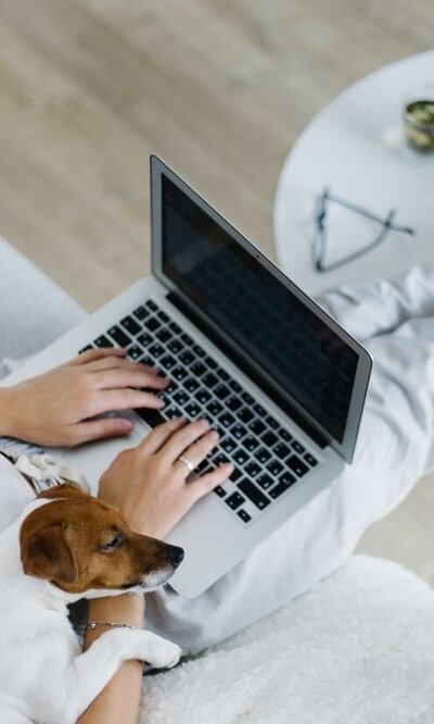 Hands type on a laptop as a puppy sleeps on a wrist. Contact an online therapist in Florida for support from home. A couples therapist would be happy to support you!
