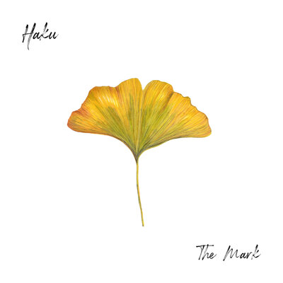 Illustrated album covers with minimalist botanical designs and delicate line art