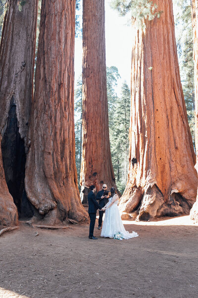 Bride and groom pose under a waterfall during their Olympic National Park elopement.