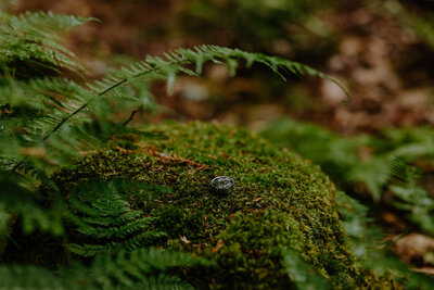 Tofte MN Elopement