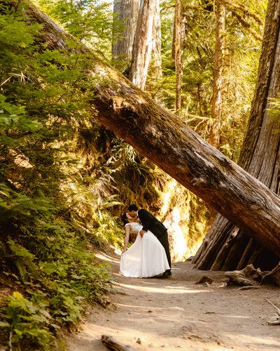 A bride and groom stand in theeir wedding attire on top of a wooden bridge with  a waterfall gushing beneath them