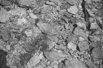 rocks in the water 