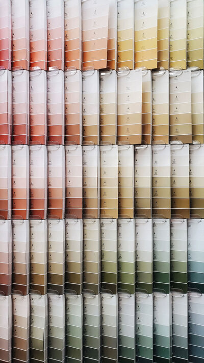 image of muted neutral paint chips organized on a wall display