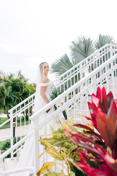 Wedding At Margaritaville Resort, Orlando