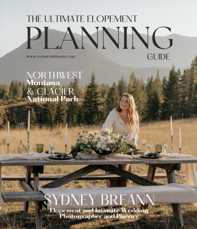 Elopement Planning Guide Graphic.