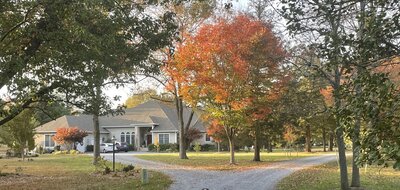 Wedding florist in Easton, MD. Floral Designer for weddings and special events on Maryland's Eastern Shore.