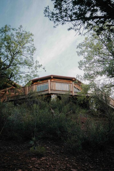 Three large wooden axe throwing targets sit in a clearing in the middle of a ponderosa pine forest. 