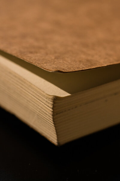 Creative entrepreneur organizing content ideas using the Storylines & Starters framework for consistent branding
