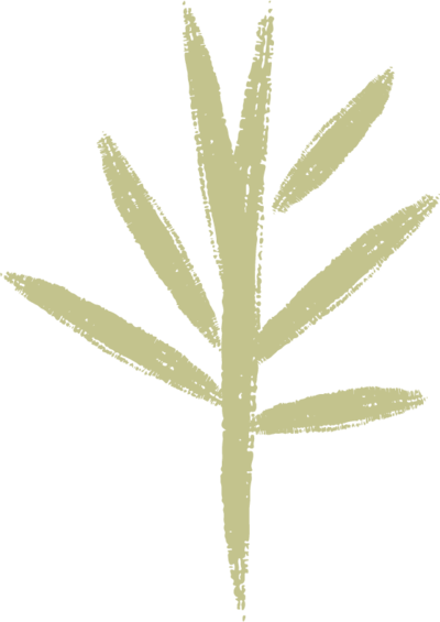 Simple hand drawn green foliage illustration
