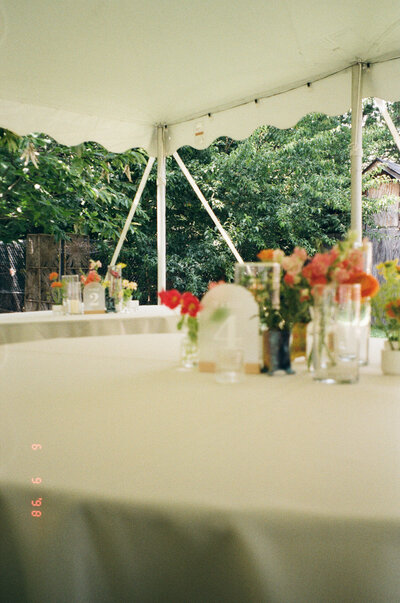 intimate-backyard-wedding-columbia-missouri00009