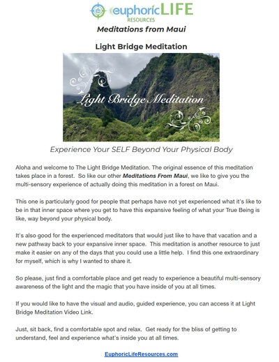 Light Bridge Instructions Image