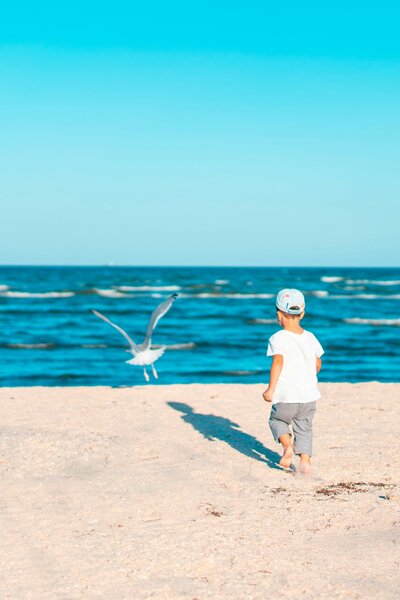 boy chasing seagull on beach