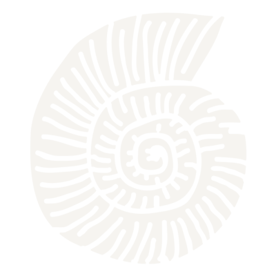 Seashell with spiral structure