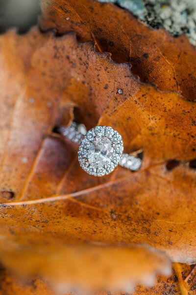 bridget_thomas_engaged-4330