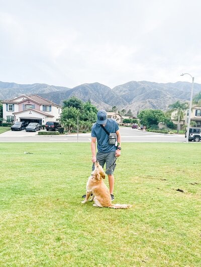 K&O Dog Training in Corona CA_0039