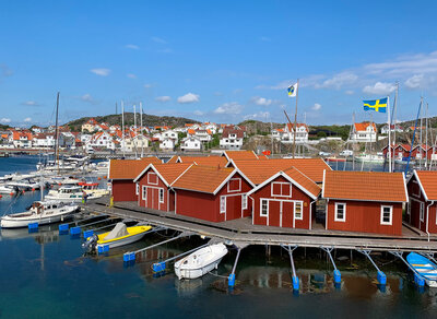 Camels in Morocco from travel magazine the loaded trunk