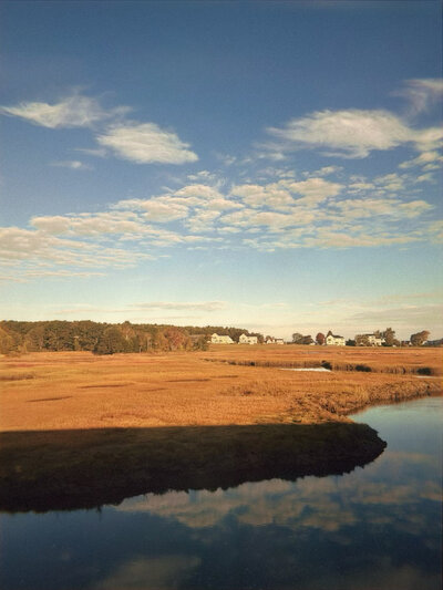 marsh