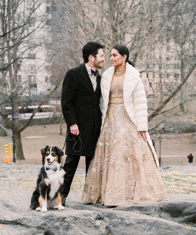 Puppies are the wedding ring bearers.