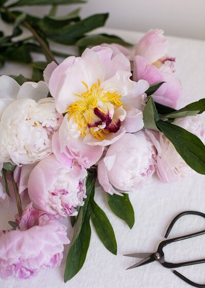 Sweet Peas Flower Farm | The Bloomery 10
