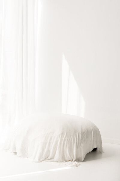 white newborn posing bean bag in natural light photography studio