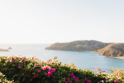Florals and coastline of Costa Rica 