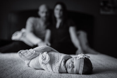 NOVA newborn photographer