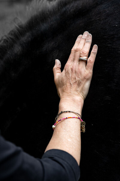 Branding foto voor Monique Last paardencoaching. Foto met hand op de nek van een paard. Branding shoot door Dorien Paymans | Studio Ensō Groningen ©