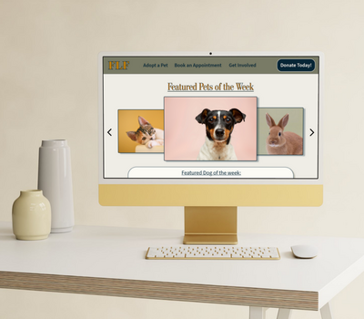 Earth colors boho tablet mockup wood shapes (4000 x 3500 px) (4)