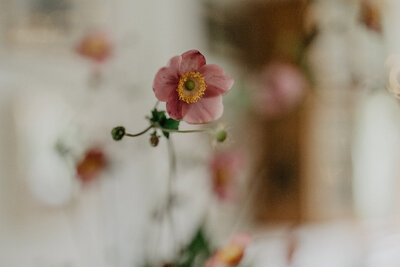 Wellness Retreat Day in the Cotswolds, near Chipping Norton