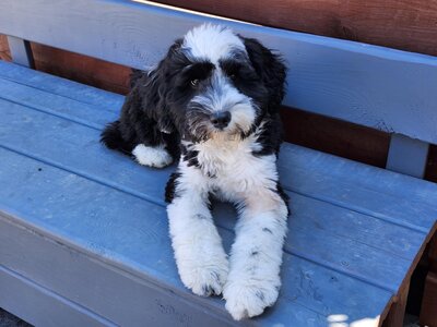 bccea403-af3e-44b5-b56b-e1a45207e739