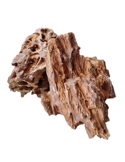 dragon stone