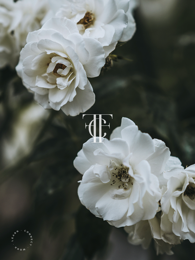 SemiCustom-BrandDesign-FloralFreelance