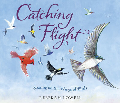 Books | Children's Books by Author Rebekah Lowell