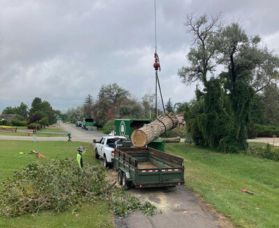 Tree removal service by crane for residential projects in Denver Metro and Colorado Foothills