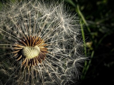 Alive Integrative Medicine photo 7