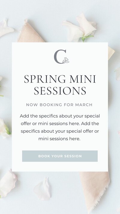 instagram story design for mini photography sessions