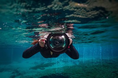 RENEE STENGEL Photography | Charlotte Portrait and Underwater Photographer |