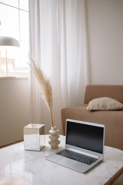 A minimalist living room scene with a laptop on a marble table, surrounded by neutral tones and dried plants.