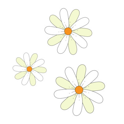 3 Margarete Flowers