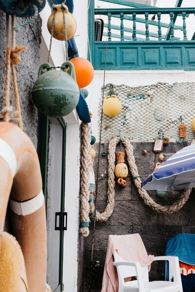 pexels-matreding-28271519 pexels-matreding-28271519