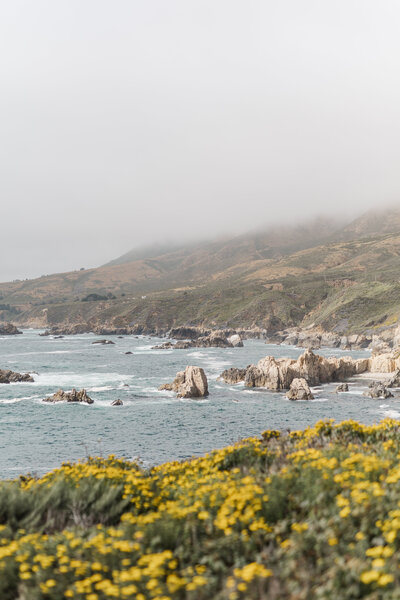 Carmel + Big Sur 2024-42