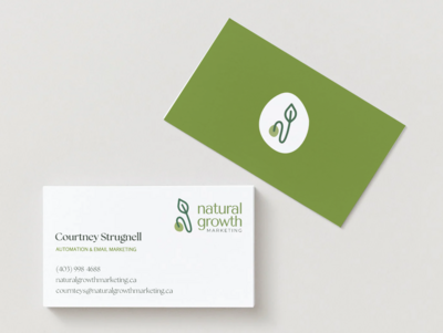 identity design and showit website design  for marketing expert