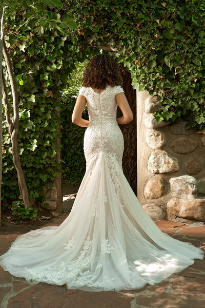 Camellia II (Amina)-Back