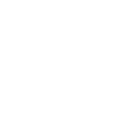 Michelle Sobel Photo Logo