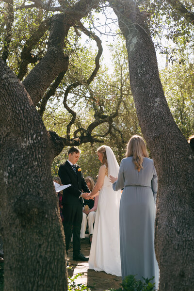 A bride and a groom between two trees during their wedding ceremony in Austin, Texas. 