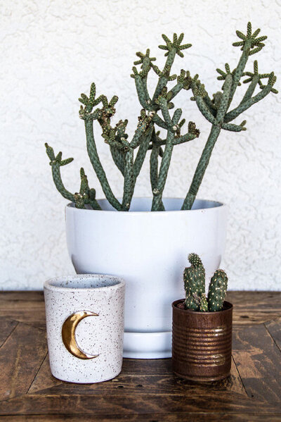 Gatos Trail Ranch location branding closeup potted cacti next to mug with gold crescent moon